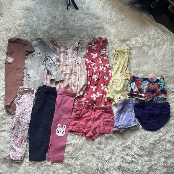 Baby Girl 9-12 Months Clothes Lot Of 12 Outfits Bodysuits Mixed Brands Pants - Picture 1 of 6